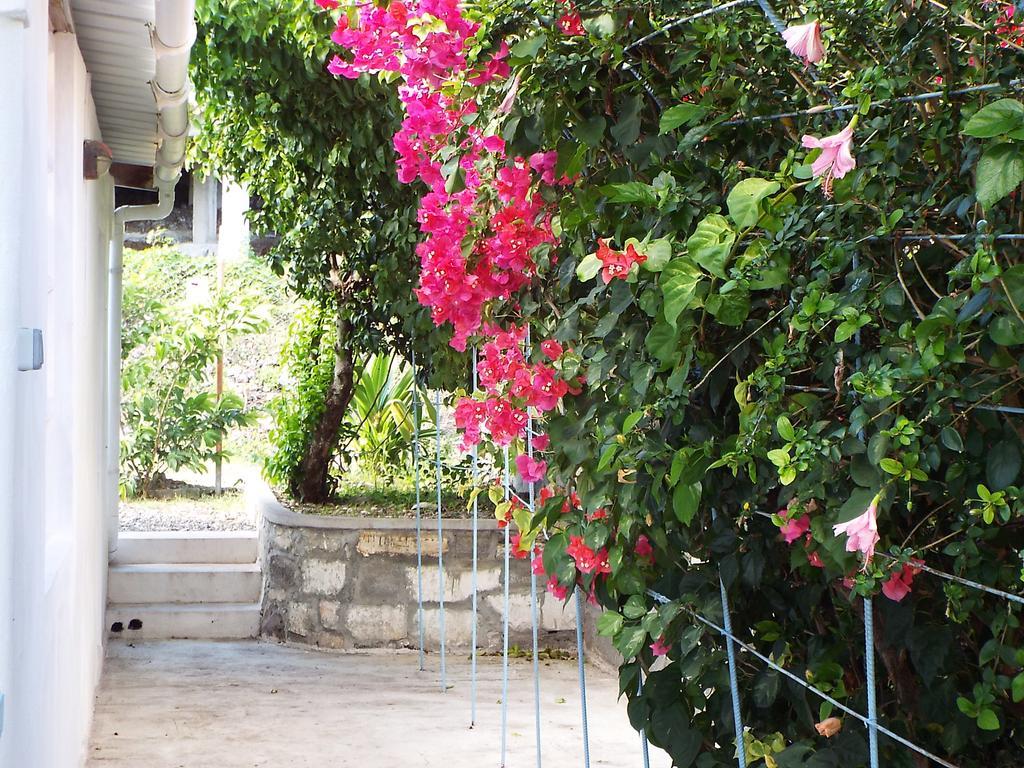Le Paradiso Apartments Bambou Buitenkant foto